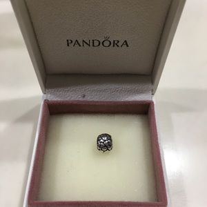 Pandora Lotsa Love Charm